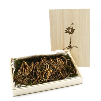 ���� ����� 7~8��� �����̾� ������Ʈ